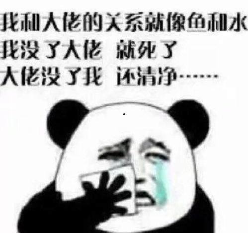 不来我不来表情包