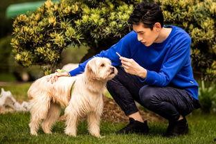 韩国狗狗演员,揭秘韩国狗狗演员的璀璨生涯