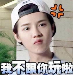 鹿晗生气表情包,表情包引爆网络热潮